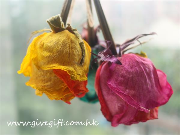 DIY Dried Flower FAQ